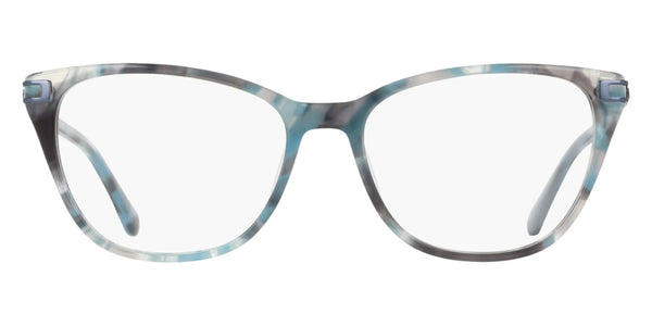 Blue Tortoise / 53-16-140