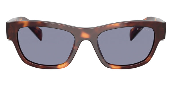 Classic Tortoise / Gray / 52-19-145