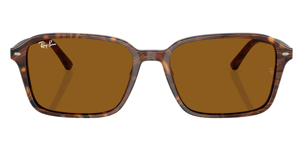 Ray-Ban - Raimond RB2231