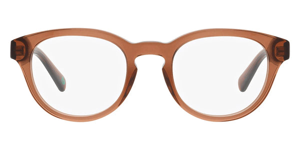 Shiny Transparent Brown / 50-21-145