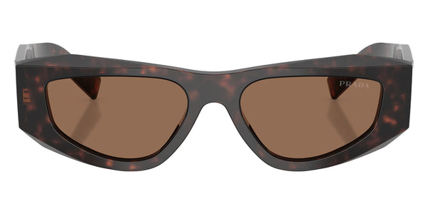 Root Tortoise / Dark Brown / 53-17-145