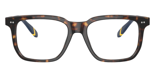 Shiny Dark Havana/Blue / 53-18-145