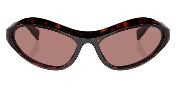 Root Tortoise / Light Brown / 63-16-125