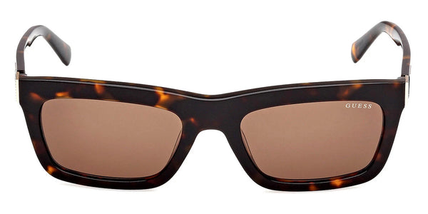 Dark Havana / Brown / 55-20-145