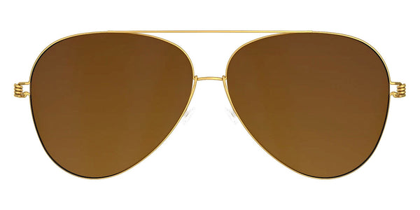 GT / IP01 Brown Polarized / 58-12