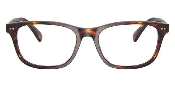 Shiny Brown Tortoise / 53-18-145