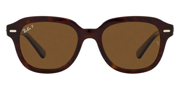 Havana / Brown Polarized / 51-20-140