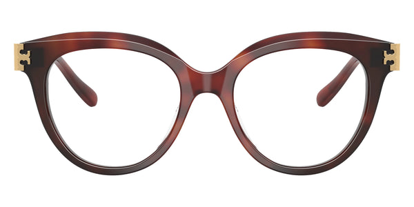 Gradient Tortoise / 51-18-140