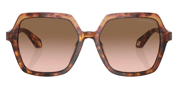 Orange Havana/Red Havana / Brown Gradient / 55-17-140