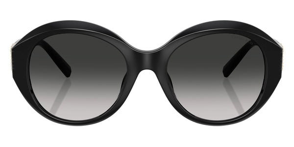 Black / Gray Gradient / 53-19-140