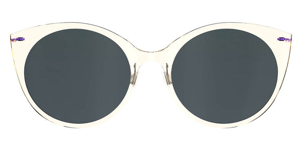 C21-77 / IP02 Gray Polarized / 53-19