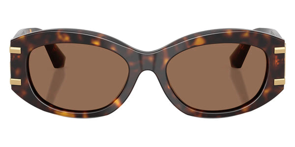 Havana / Dark Brown / 55-18-145