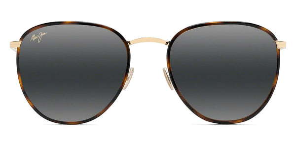 Tortoise with Gold / Neutral Gray / 54-20-145