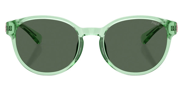 Shiny Transparent Light Green / Dark Green / 48-17-125