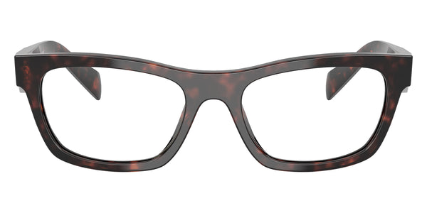 Root Tortoise / 54-18-145