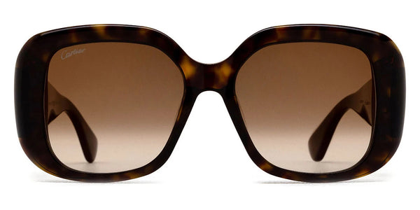 Havana / Brown Multi Treatment / 54-17-145