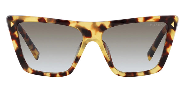 Medium Tortoise / Gray Gradient / 55-14-145