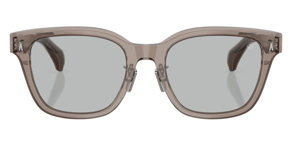 Transparent Dark Gray/Crystal / Light Gray / 54-20-145