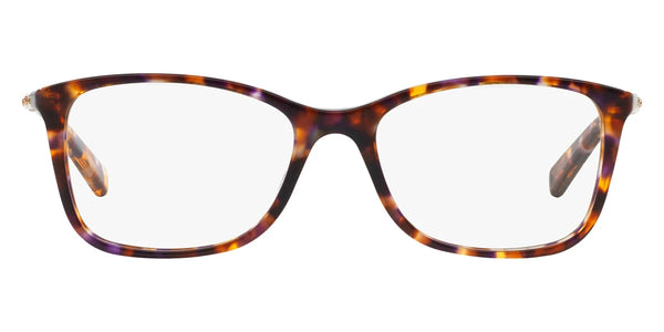 Sunset Confetti Tortoise / 53-17-140