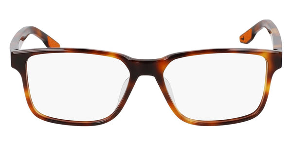 Soft Tortoise / 56-16-150