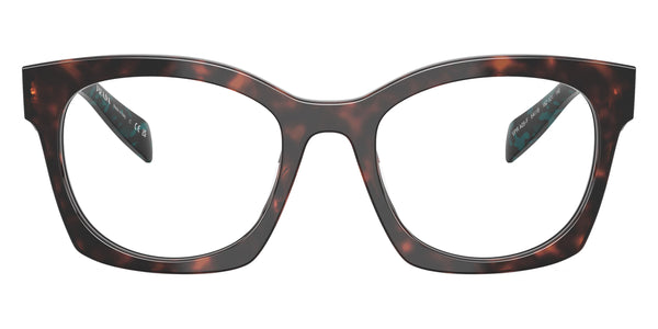 Root Tortoise/Teal Tortoise / 54-18-140