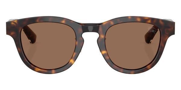 Dark Havana / Dark Brown / 48-23-145