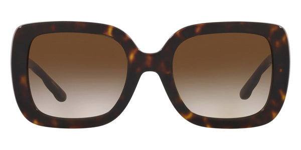 Dark Tortoise / Brown Gradient / 54-22-140