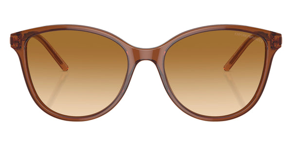 Shiny Transparent Light Brown/Shiny Brown / Yellow Gradient Light Brown / 54-17-140