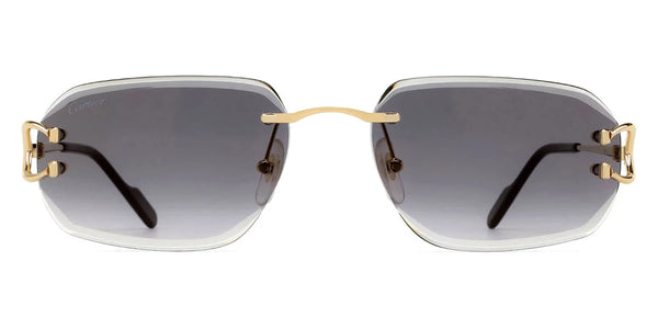 Gold / Gray Multi Treatment / 58-18-145