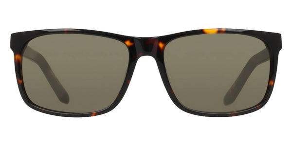 Tortoise / G15 / 58-16-150