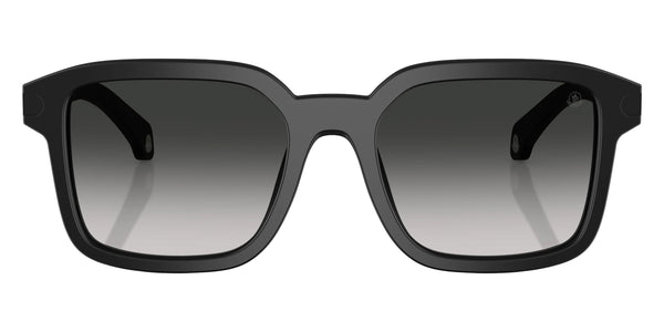 Matte Black / Light Gray Gradient Black / 53-19-145