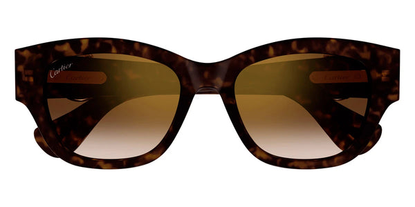 Havana / Brown Multi Treatment / 55-18-145