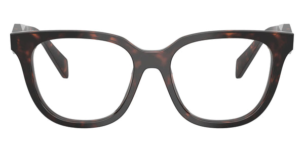 Root Tortoise / 51-17-145