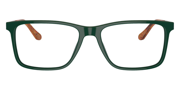 Forest Green/Dark Gunmetal / 56-17-145