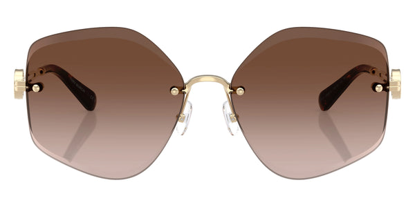 Shiny Light Gold / Brown Gradient / 58-16-140