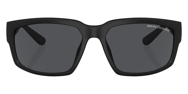 Matte Black / Polarized Gray / 61-17-135