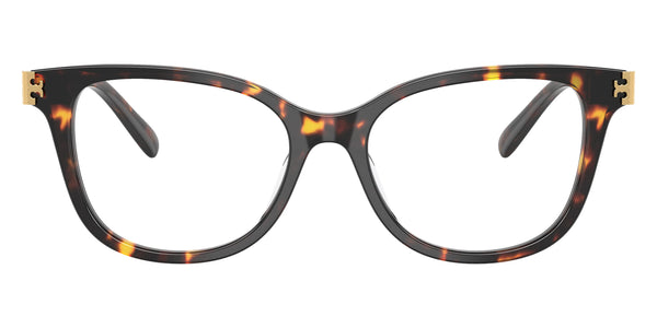 Brown Tortoise / 53-17-140