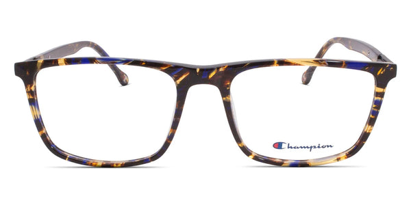 Blue Tortoise / 58-19-155