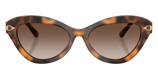 Havana / Gradient Brown / 54-17-145