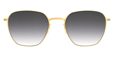 Lindberg LND 8810 GT SL18 47 - GT / SL18 Gray/Brown Gradient