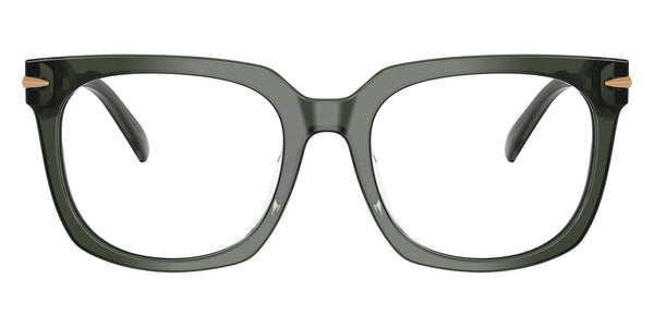 Green Transparent / 54-19-145