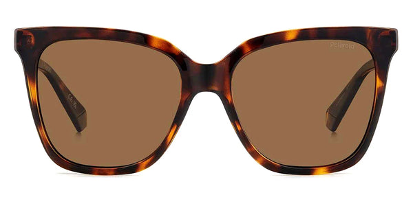 Havana / Bronze Polarized / 55-17-145