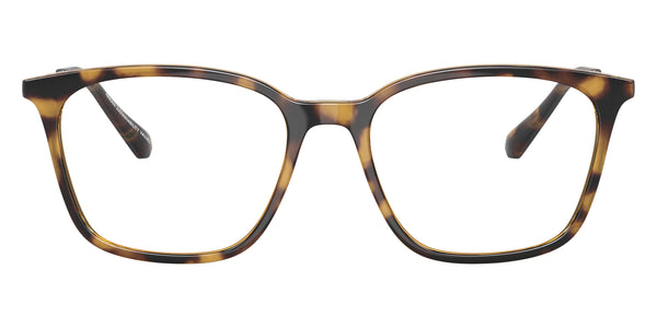 Shiny Havana/Gold / 53-17-140