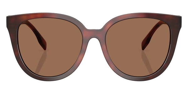 Gradient Tortoise / Dark Brown / 56-18-150
