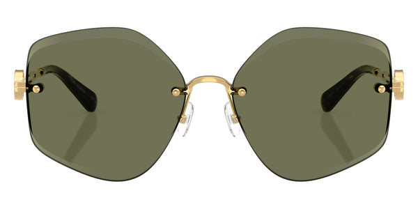 Shiny Gold / Dark Green / 58-16-140