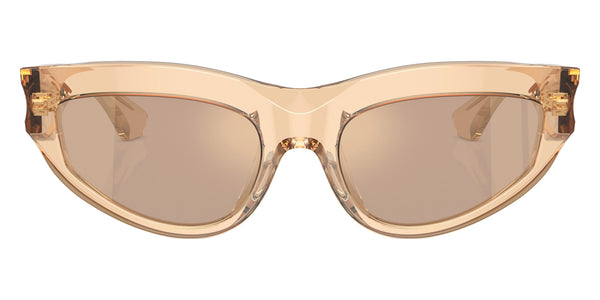 Brown / Light Brown Mirrored Flash Gold / 55-19-145