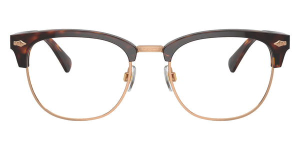 Shiny Brown Tortoise / 52-20-145