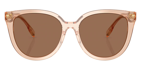 Transparent Brown / Dark Brown / 56-18-150