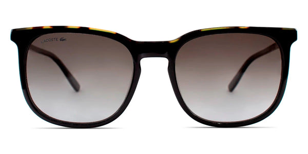 Black / Havana / 54-19-145