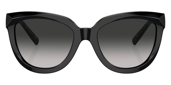 Black / Gray Gradient / 53-19-140